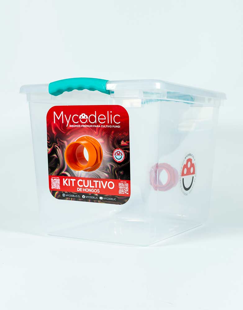 kit-cultivo-de-hongos-mediano-3.jpg