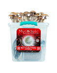 kit-cultivo-hongos-mycodelic-m.png