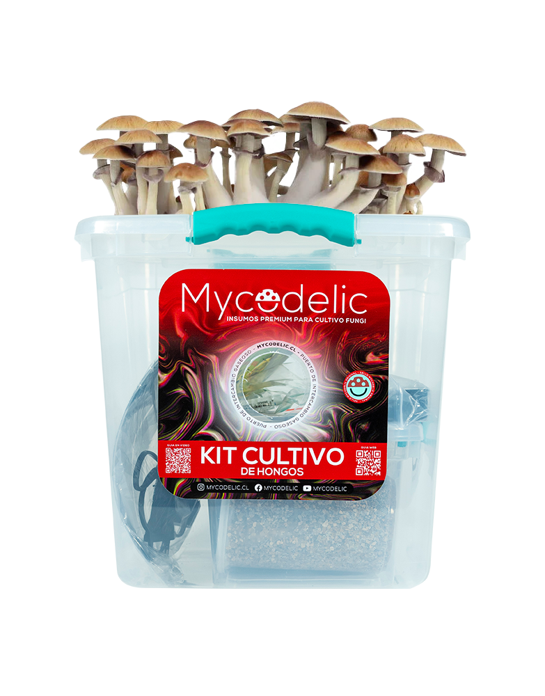 kit-cultivo-hongos-mycodelic-m.png